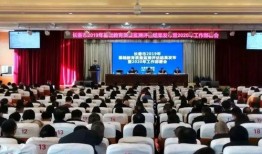 长春市教育局最新爆料,揭秘教育改革新动向与政策调整