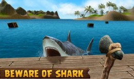 木筏求生最新爆料,惊心动魄的海洋求生之旅，最新爆料揭秘生存秘籍