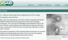 美国病毒爆料最新,揭秘疫情背后的真相与挑战